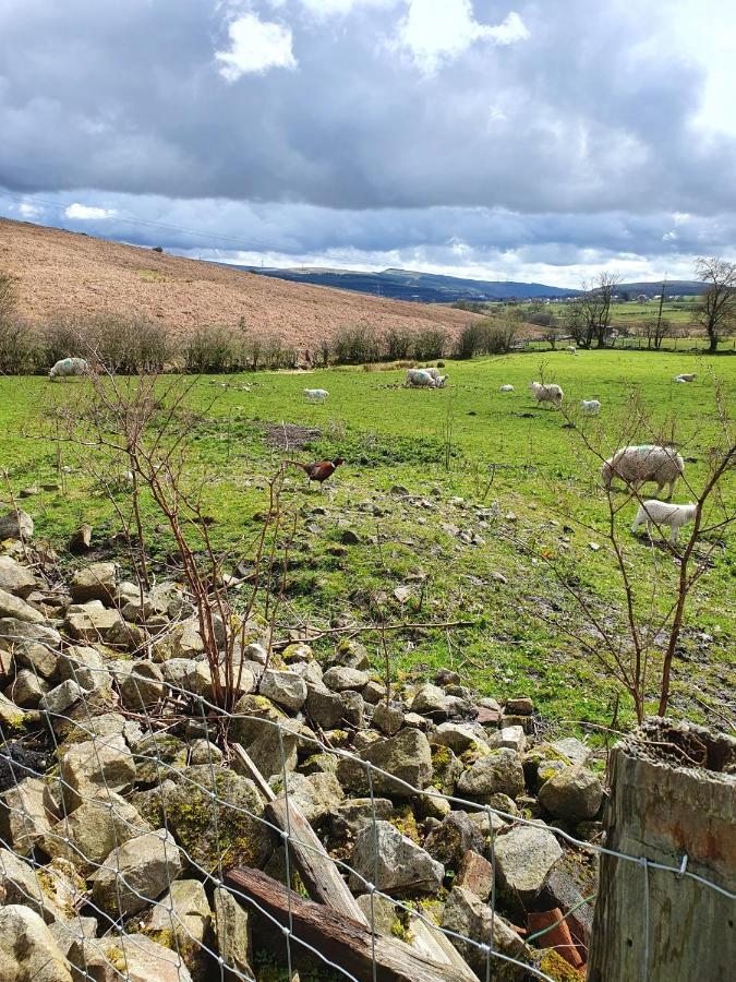 Wales' Highest Village - The Chartist Cottage - Trefil Tredegar ภายนอก รูปภาพ